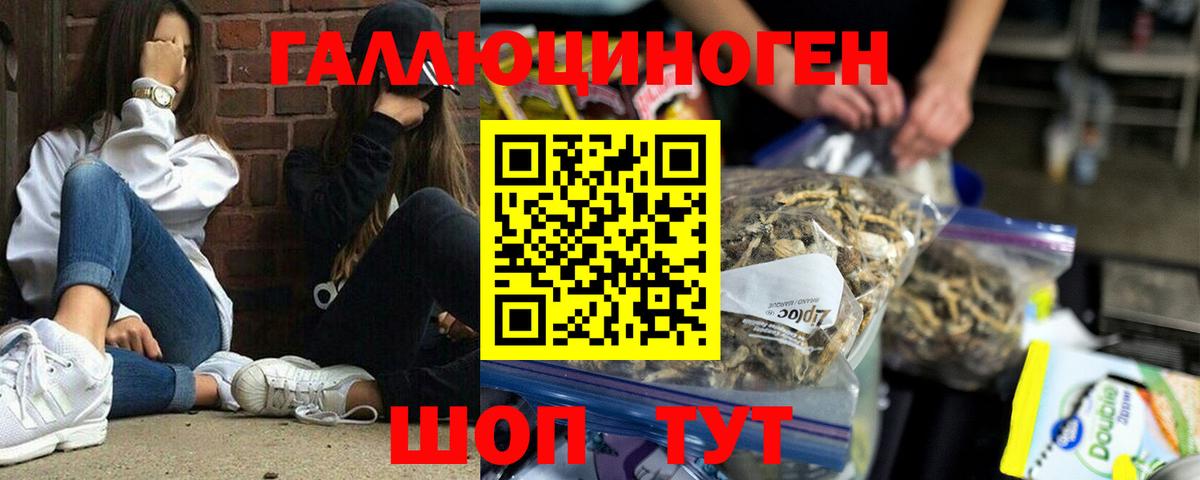 Галлюциногенные грибы Cubensis  Вход с VPN  Псилоцибиновые грибы ЛСД  Сосновоборск 